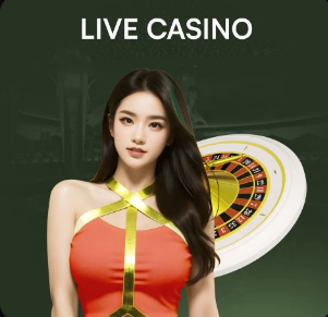 2026年3月25日CBA常规赛吉林vs辽宁直播【24直播网】